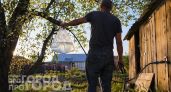 Все смеялись над моими пакетами с водой на грядках: этот простой прием отпугивает вредителей лучше ядохимикатов