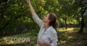 Больше никакой гнили в урожае: прикрепила в июне эту простую штуку на ветки и забыла о вредителях навсегда