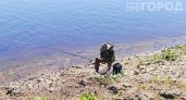 Комары исчезнут с участка за минуту: простой аптечный раствор действует эффективнее любых дорогих спреев