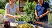 Забыла про картошку и макароны: теперь жарю молодую капусту по особому рецепту к любому мясу на огне