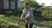Больше никаких укусов на даче: простой трюк с носком и палкой избавляет от назойливой мошки за минуту