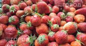 Смешиваю эти два продукта для клубники: ягоды наливаются соком и становятся огромными уже к началу лета