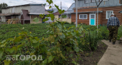 Забудьте про тяпку: вылейте этот стакан под корень вечером и к утру от сорняков не останется и следа