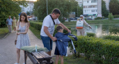 Комары в ужасе улетят с вашего участка: просто поставьте этот ароматный цветок на подоконник дома