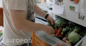 Больше не выбрасываю гнилые овощи: копеечное средство из аптеки сохраняет свежесть продуктов на целый месяц