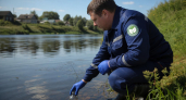 В Ивановской области в июне выявили высокое загрязнение двух рек