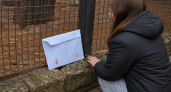 У клетки совы Букли в ивановском зоопарке нашли письмо для Гарри Поттера