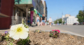 В Иваново 9 июля вернется жара до плюс 32 градусов
