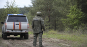 В Ивановской области перехватили беспилотник и посадили его в лесу