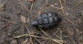 В Иванове во дворе дома нашли учебную гранату Ф-1