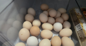 Красная точка в яйце: когда стоит немедленно выбросить продукт, а когда можно смело готовить яичницу