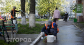 Белили деревья в СССР вовсе не для красоты: узнайте истинную причину этой привычки, меняющую взгляд на сад