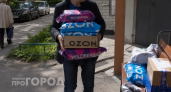 Выбросьте это из корзины: три товара с Wildberries, которые принесут вам только убытки и разочарование