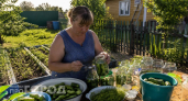 Перестала закрывать банки на зиму: эти немецкие огурцы съедают до последней капли за один присест