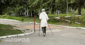 Забудьте о таблетках: кардиолог перечислила пять привычек для очистки сосудов от лишнего холестерина
