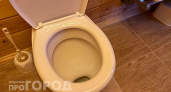 Выливаю остатки этого средства в унитаз и чайник перед сном: утром налет исчезает без следа и усилий