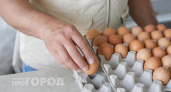 Перестала выбрасывать упаковки от яиц: показываю пять полезных способов применения в быту и на даче