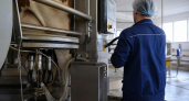 В Ивановской области выпуск молока вырос на 3,9%, а в агросекторе — на 7%
