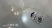 Больше никаких следов клея на любимых тарелках: копеечное средство уберет липкий слой за одну секунду