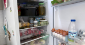 Вы годами неправильно храните продукты: почему дверца холодильника губит вашу еду и где её место