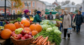 В Шуе 12 сентября пройдет осенняя ярмарка фермерских продуктов и саженцев