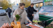 Хватит налегать на морковь: офтальмологи перечислили доступные продукты, которые реально улучшают зрение