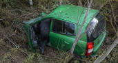 В Кинешемском районе водитель Kia Picanto пострадал после наезда на лося