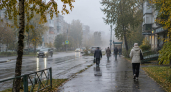 Неделя в Ивановской области начнется с тумана и дождя, но без заморозков