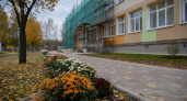 В Родниках восстанавливают сад доктора Салеева с сохранением редких растений