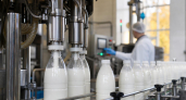 В Ивановской области выявили производителя молока с выходом продукции выше объема сырья