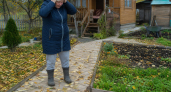 Забудьте про мышеловки: просто рассыпьте это средство у порога и вредители забудут дорогу в ваш дом навсегда