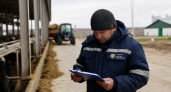 В Ивановской области откроют горячую линию по побочным продуктам животноводства