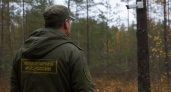 Безопасность, транспорт и сельское хозяйство: главные новости за 21 октября