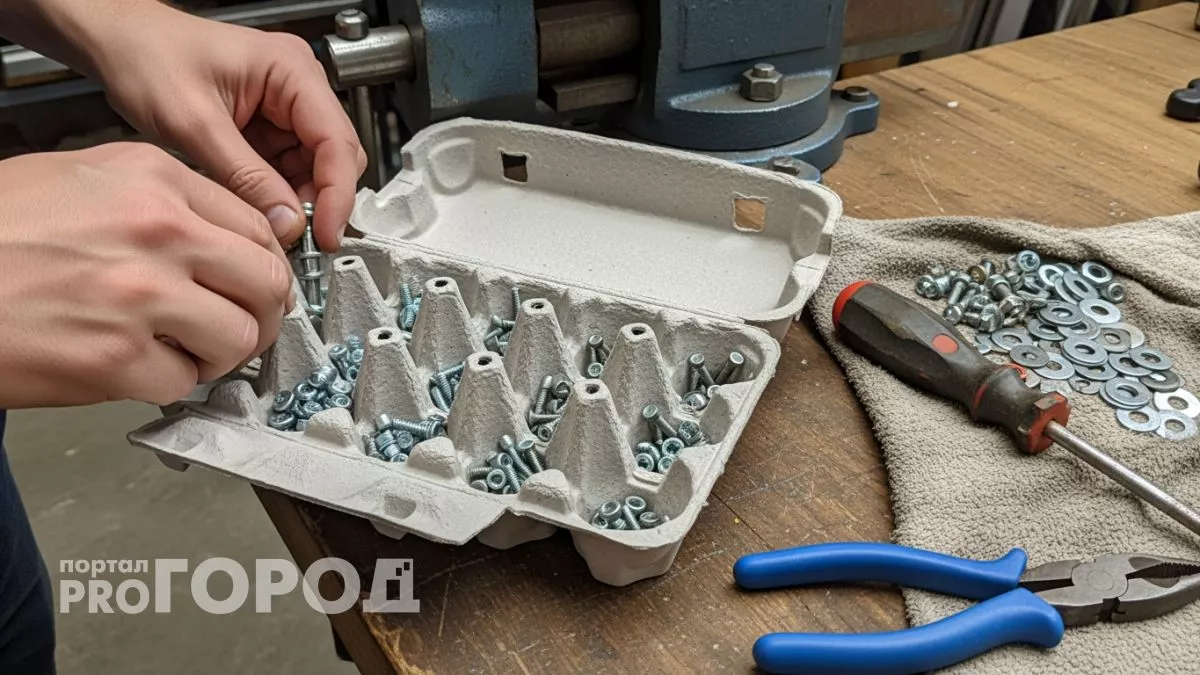 Жена называла меня хомяком за коллекцию яичных лотков, а через месяц сама начала их собирать