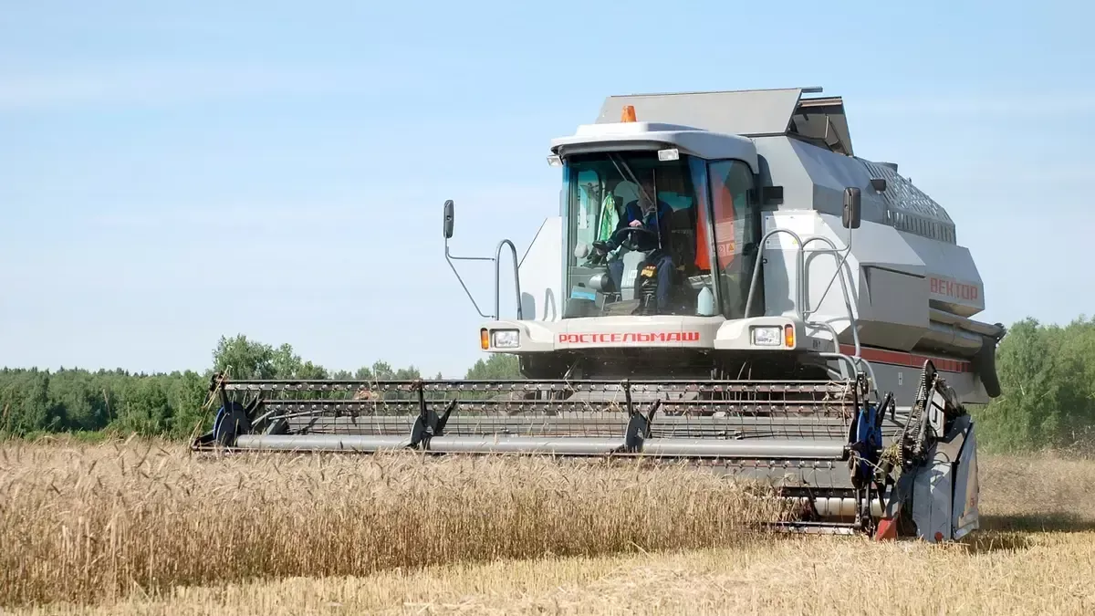 Ивановские фермеры получат рекордные 12,9 млн рублей на зерно