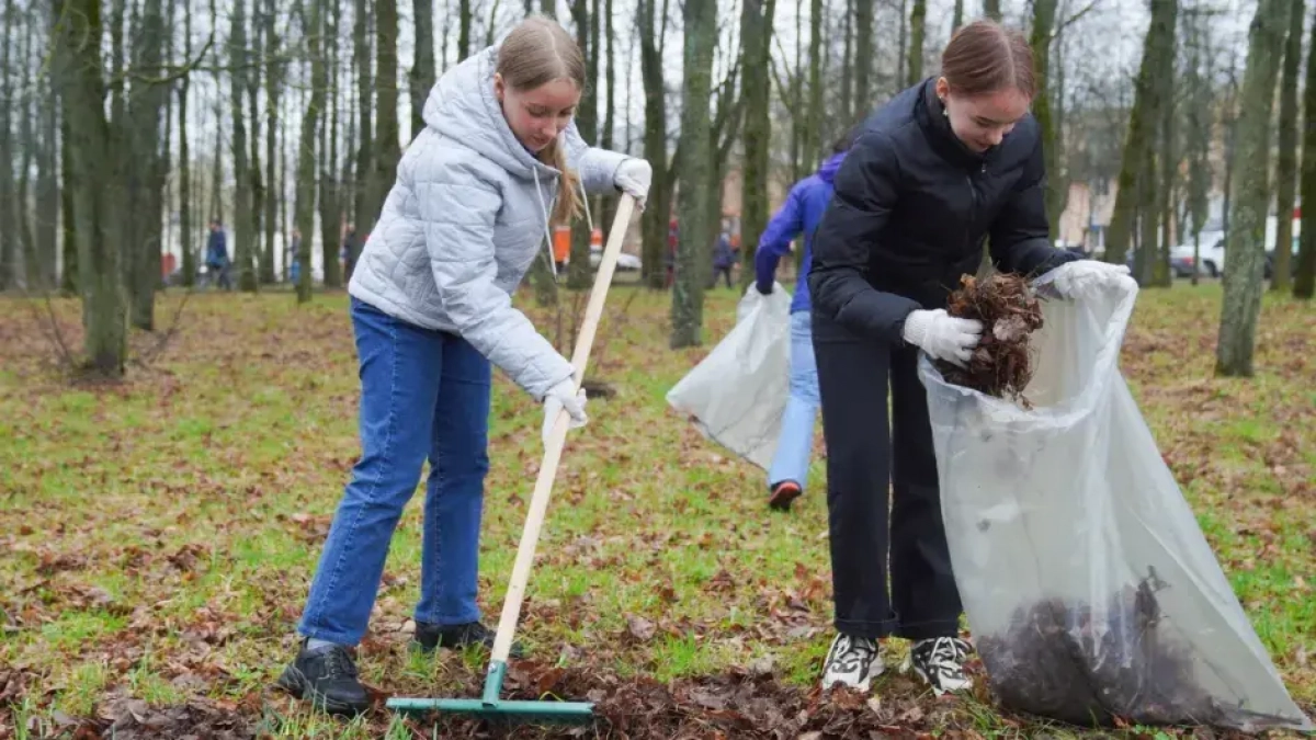 Ивановская область превысила план лесовосстановления на 41%