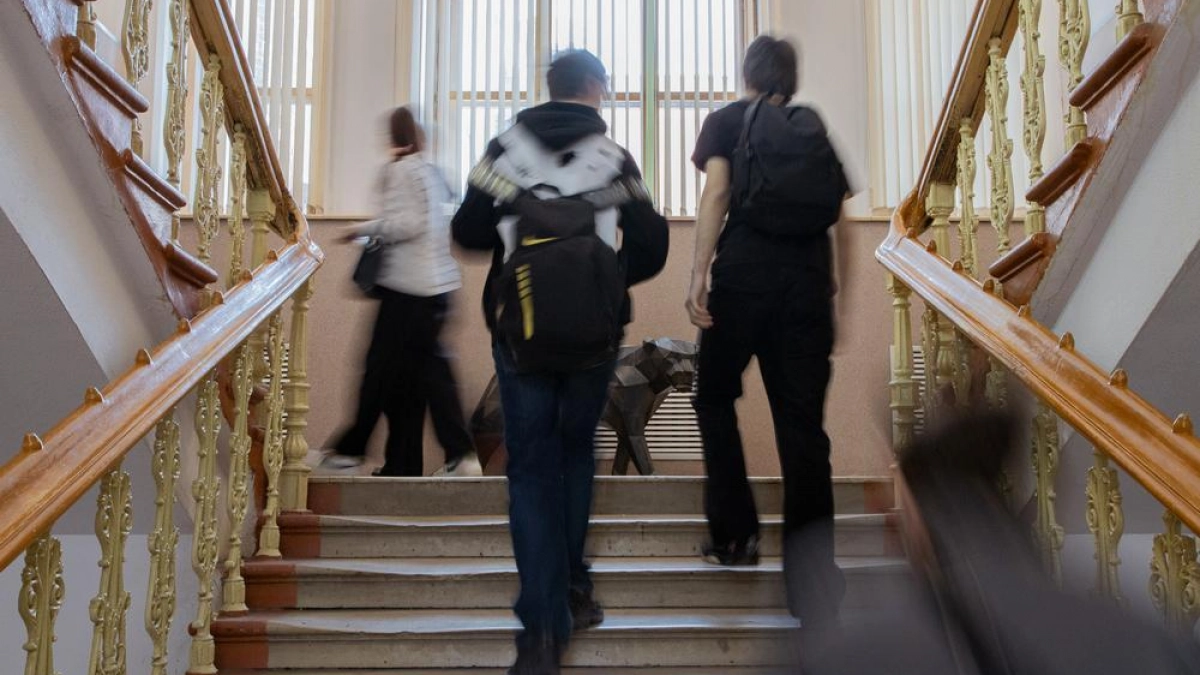 Металлические львы и быки: скульптор создает животных из стальных деталей