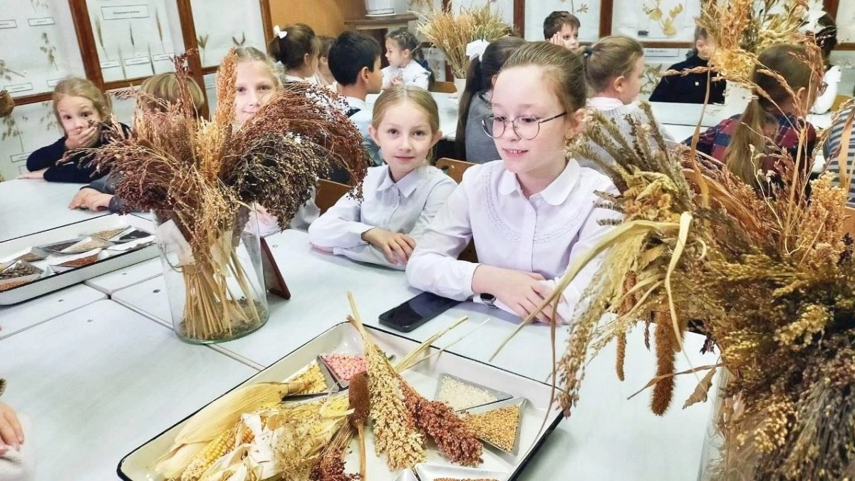 В Ивановской области откроют 11 агротехнологических классов по федеральному проекту