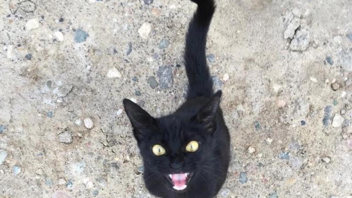 Весна в Иванове: тротуары снова превратились в «минное поле»