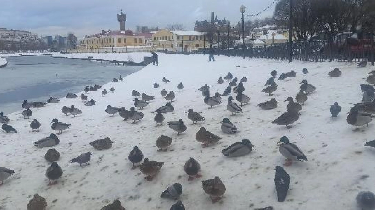 В Кинешме запретили выход на лёд до 10 апреля под угрозой штрафа