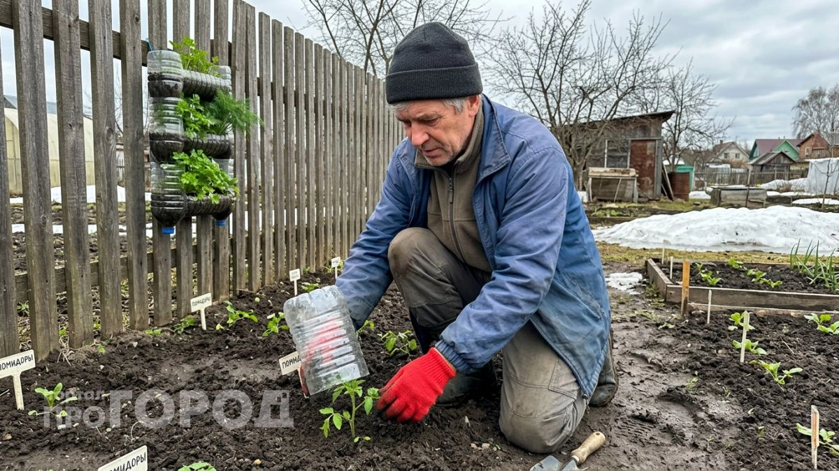 Всю зиму прячу пустой пластик от мусорки, чтобы весной сделать восемь хитрых бесплатных приспособлений для дачи