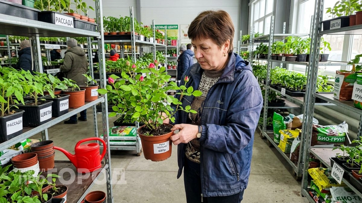 Не ведитесь на цветущие саженцы в марте, иначе хитрая уловка садовых магазинов оставит вас без денег и урожая