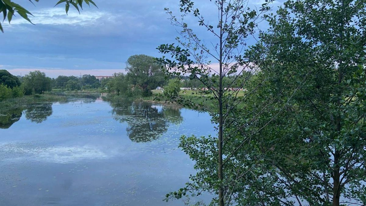 Река Теза в Шуе подходит к опасной отметке: под угрозой сады и постройки