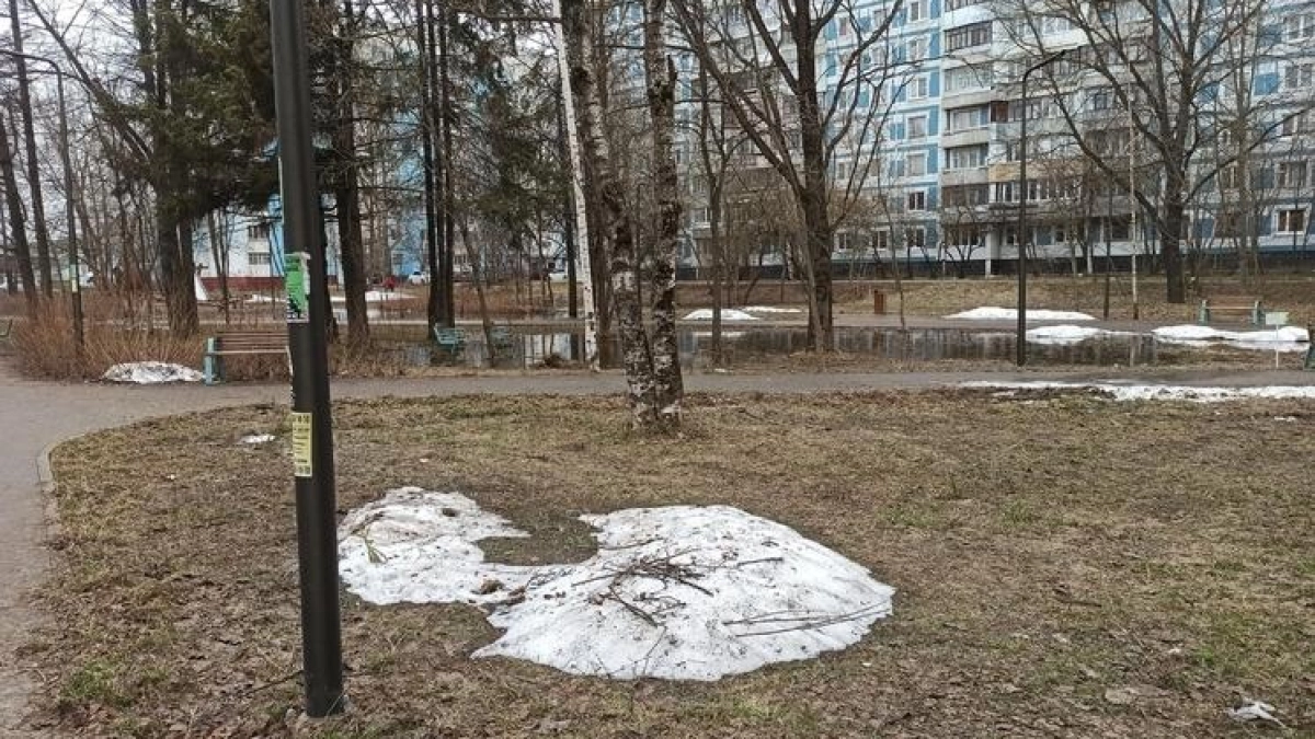 Неделя в Ивановской области начнётся с мокрого снега и ночных заморозков