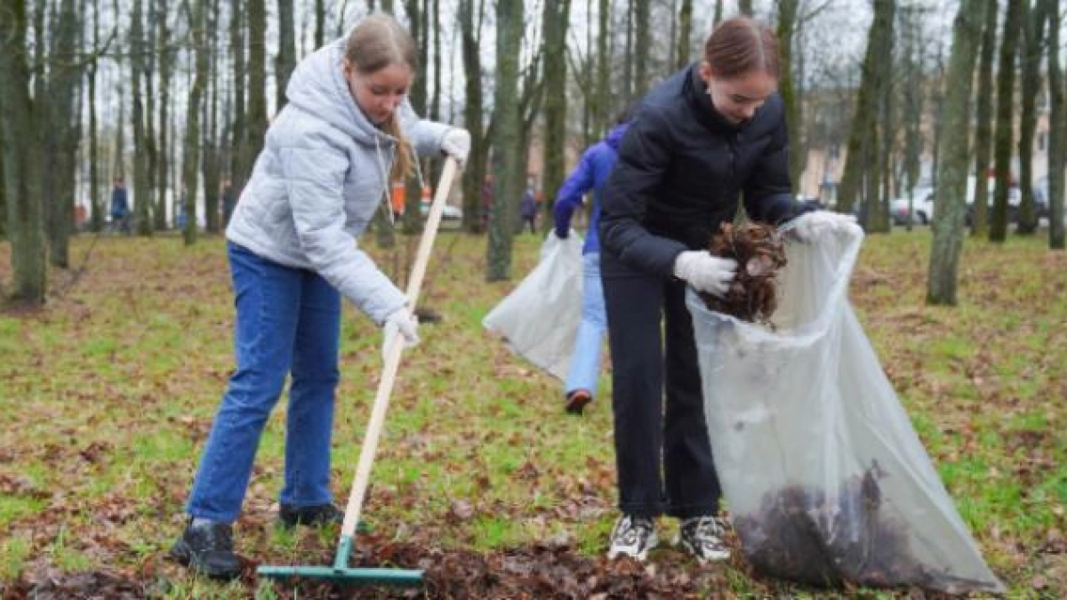 «Зелёная Весна» в 13-й раз: ивановцев зовут озеленять дворы и парки