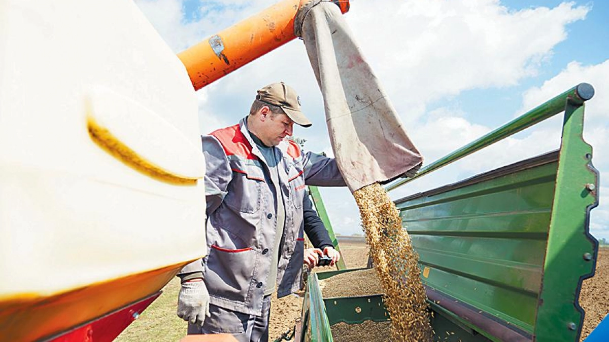 В Ивановской области построят молочный комплекс на 12 600 тонн в год