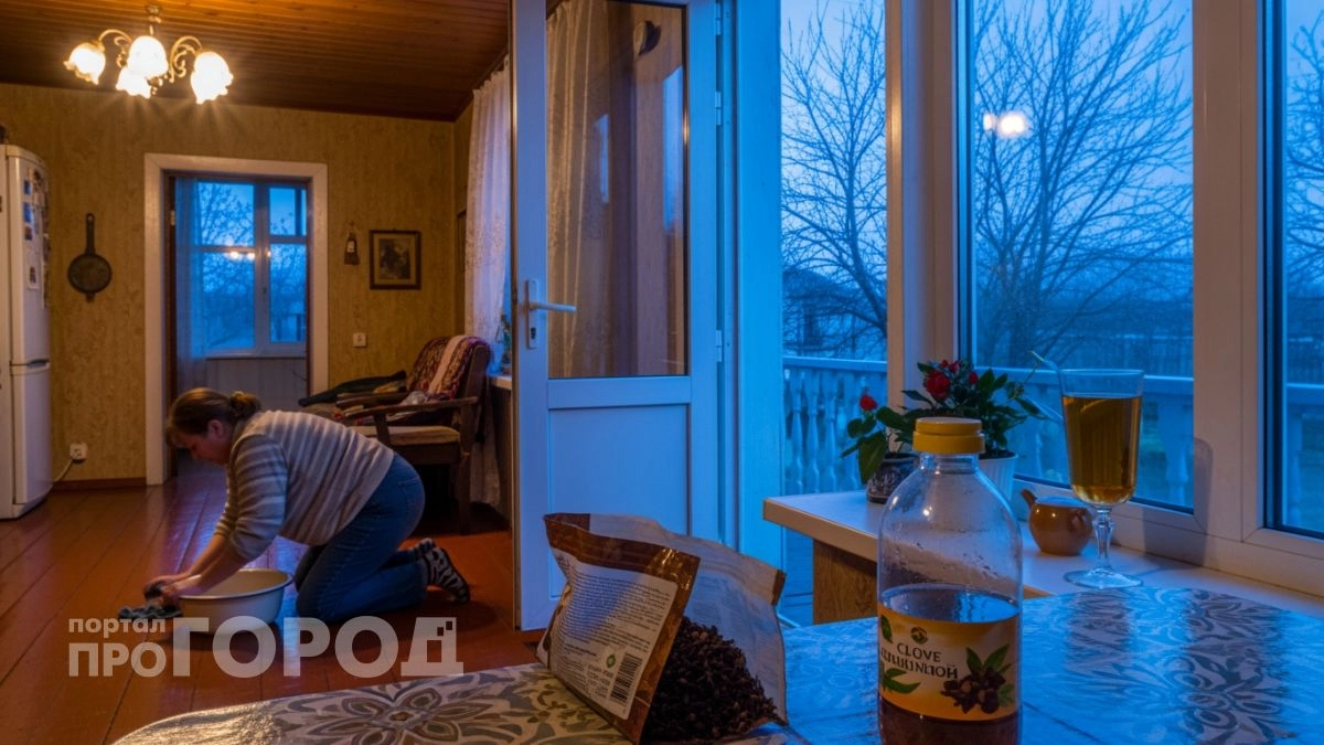 Забудьте про химию из супермаркета: эта копеечная специя из отдела выпечки отпугивает клещей лучше любого спрея