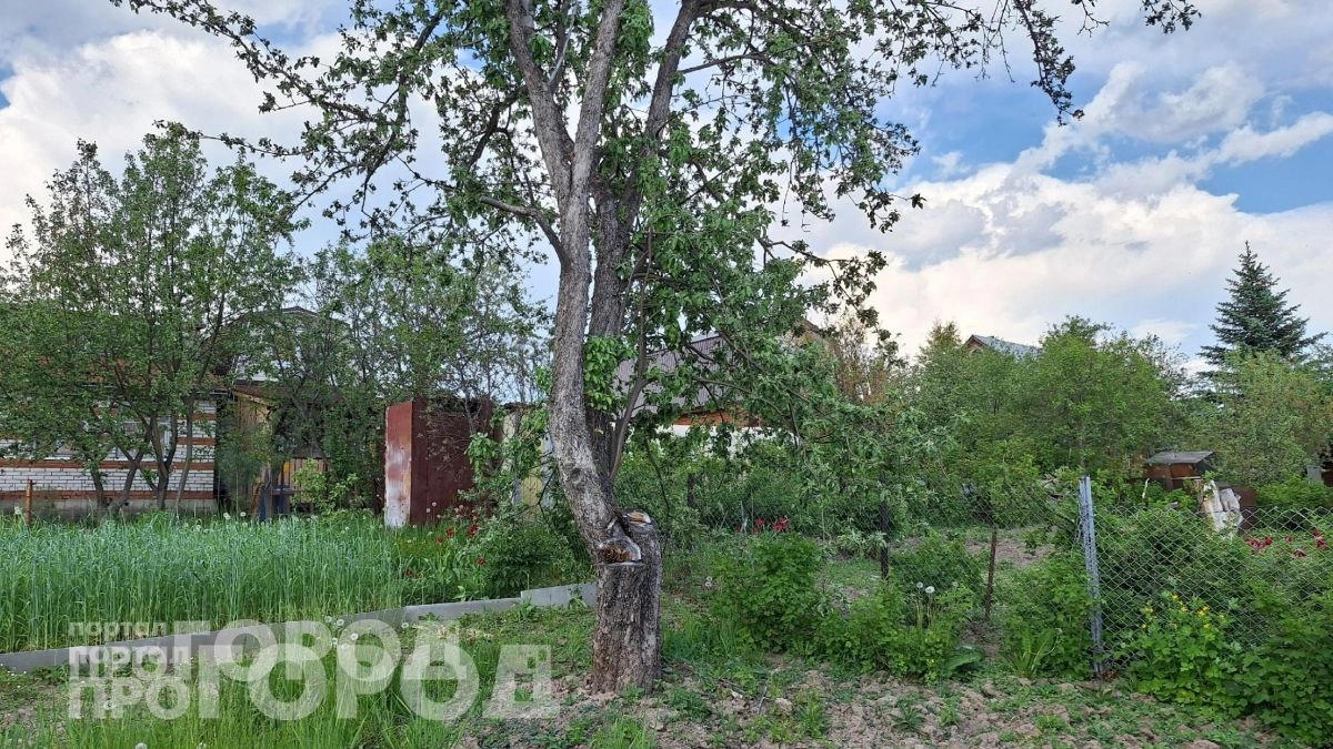 Ваш участок станет магнитом для гадюк: уберите этот предмет из сада чтобы змеи забыли к вам дорогу навсегда