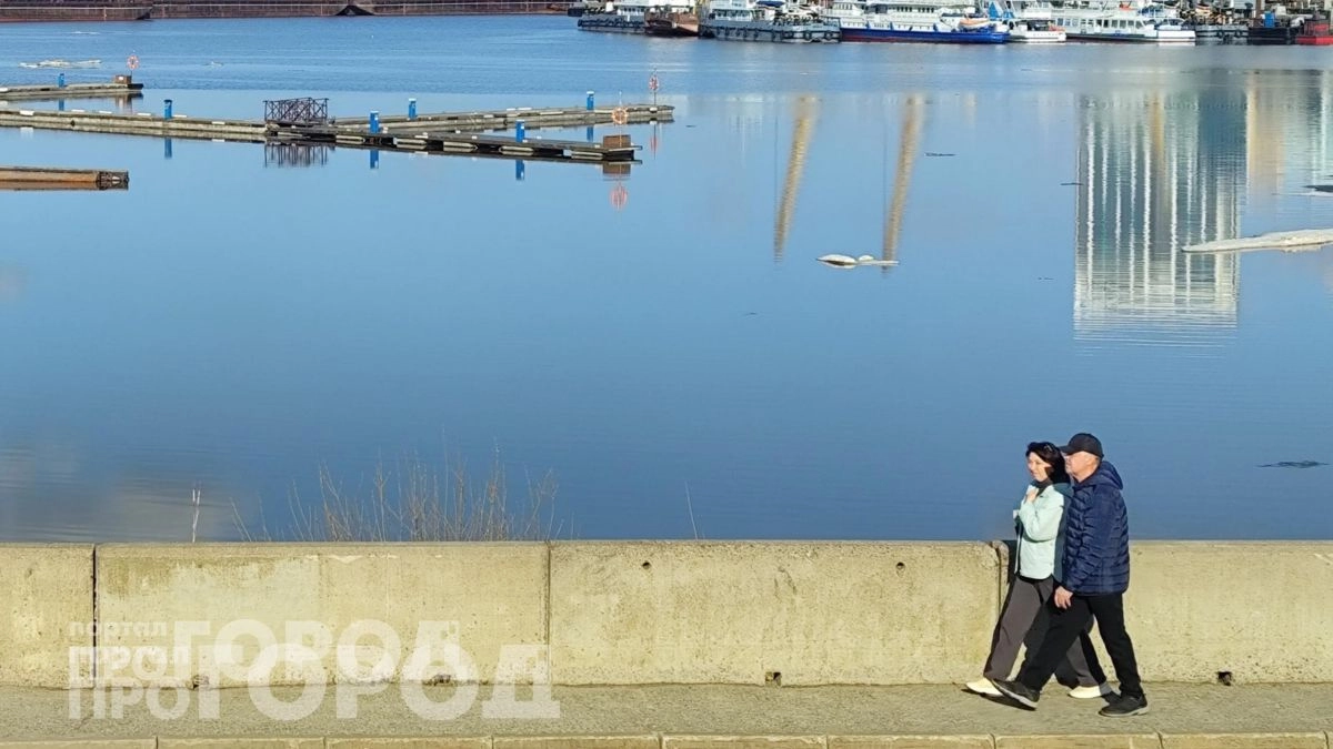 После 40 лет память дает сбои: добавьте в рацион одну ложку этого средства для сохранения остроты ума