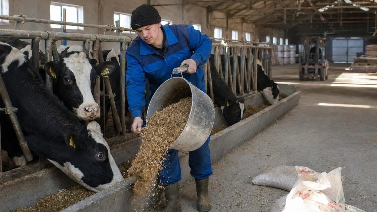 Ивановская область нарастила производство молока, мяса и яиц в начале 2026 года